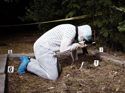 Forensic Science category image